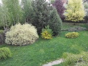 Аренда дома Рождественский ПЖСК 730 м² Рублево-Успенское шоссе - 376627 - foto_fw