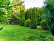 Аренда дома Millennium Park 1300 м² Новорижское шоссе - 630192 - 630192