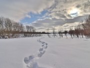 Продажа дома Глухово 388 м² Ильинское шоссе - 632532 - 632532