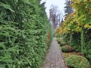 Продажа дома Новогорск-7 1200 м² Куркинское шоссе - 649481 - 649481