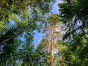 Продажа дома Покровское-Рубцово 638 м² Новорижское шоссе - 620986 - 620986