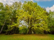 Продажа дома Горки-7 1067 м² Пятницкое шоссе - 650375 - 650375