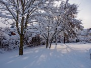 Аренда дома Усадьба Веледниково 400 м² Новорижское шоссе - 554676 - foto_bw