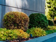 Продажа дома Шервуд 1240 м² Новорижское шоссе - 627592 - 627592