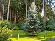 Продажа дома Хвойный 850 м² Минское шоссе - 621909 - 621909