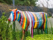 Продажа дома Маслово Forest Club 282 м² Рублево-Успенское шоссе - 634967 - 634967