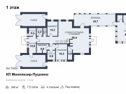 Продажа дома Монплезир-Пушкино 240 м² Киевское шоссе - 1 этаж - plan_1