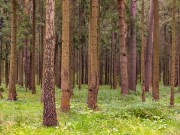 Продажа дома Нахабино Country 340 м² Новорижское шоссе - 630574 - 630574