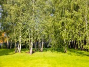 Продажа дома Ватутинки 330 м² Калужское шоссе - Кинотеатр - foto_tr