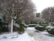 Продажа дома Заречье 630 м² Сколковское шоссе - Фото - foto_or4