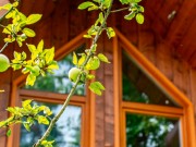 Продажа дома Иславское 200 м² Рублево-Успенское шоссе - 619369 - 619369