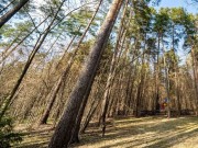 Продажа дома Николина Гора 400 м² Рублево-Успенское шоссе - 619924 - 619924