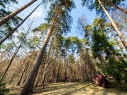 Продажа дома Николина Гора 400 м² Рублево-Успенское шоссе - 619936 - 619936