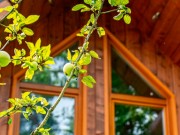 Продажа дома Иславское 200 м² Рублево-Успенское шоссе - 620159 - 620159