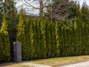 Продажа дома Ландшафт 625 м² Рублево-Успенское шоссе - 620730 - 620730