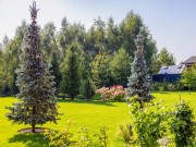 Продажа дома Староникольское 810 м² Киевское шоссе - 624269 - 624269