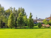 Продажа дома Староникольское 810 м² Киевское шоссе - 624305 - 624305