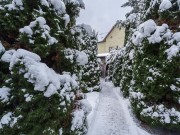 Продажа дома Борзые 460 м² Новорижское шоссе - 633987 - 633987