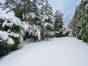 Продажа дома Борзые 460 м² Новорижское шоссе - 633995 - 633995