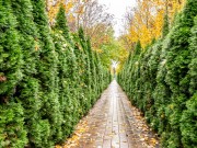 Продажа дома Futuro park 238 м² Новорижское шоссе - 634567 - 634567