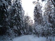 Продажа участка Саланг 32 сотки Рублево-Успенское шоссе - foto4.jpg