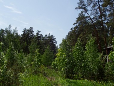 Продажа участков КП ParkVille Жуковка - Саланг - 20250