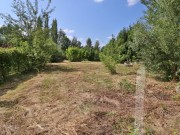 Продажа участка Монтевиль 33 сотки Новорижское шоссе - 620634