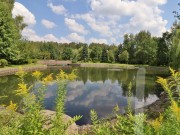 Продажа участка Монтевиль 33 сотки Новорижское шоссе - 620637