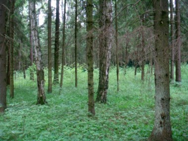 Продажа участков КП Петровский - Веледниково - 26106