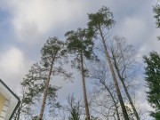Продажа участка Малое Сареево 25 соток Рублево-Успенское шоссе - 641342