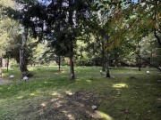 Продажа участка Ландшафт 34 сотки Рублево-Успенское шоссе - 638049