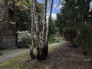 Продажа участка Ландшафт 34 сотки Рублево-Успенское шоссе - 638054