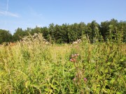 Продажа участка Русская деревня. Падиково 19 соток Новорижское шоссе - 636184