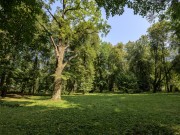 Продажа участка Покровское-Рубцово 55 соток Новорижское шоссе - 646138