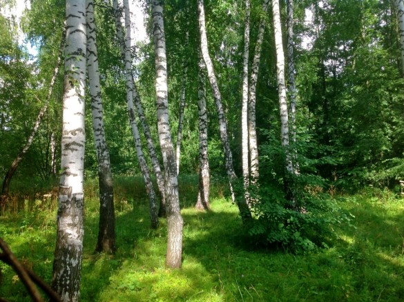 Продажа участка Бузаево 67 соток Рублево-Успенское шоссе - foto1.jpg