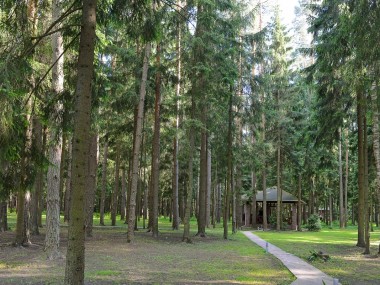 Продажа участков КП Корабельные сосны - Корабельные сосны - 45085