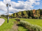 Продажа участка Березки 46 соток Рублево-Успенское шоссе - 640199