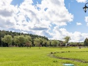 Продажа участка Березки 46 соток Рублево-Успенское шоссе - 640200