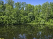 Продажа участка Березки 46 соток Рублево-Успенское шоссе - 640208