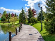 Продажа участка Николино 22 сотки Рублево-Успенское шоссе - 627638