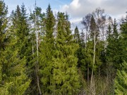 Продажа участка Ренессанс парк 33 сотки Новорижское шоссе - 631083