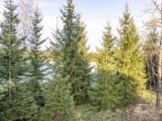 Продажа участка Агаларов Estate 31 сотка Новорижское шоссе - 627942