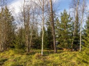 Продажа участка Агаларов Estate 31 сотка Новорижское шоссе - 627948