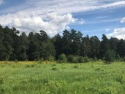 Продажа участка Ильинское 26 соток Ильинское шоссе - foto2