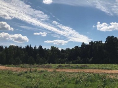 Продажа участка Бузланово 18 соток Новорижское шоссе - Ильинское - 53914