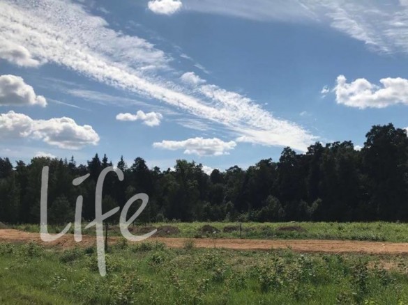 Продажа участка Ильинское 26 соток Ильинское шоссе - foto1