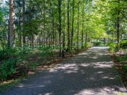 Продажа участка Горки-8 32 сотки Рублево-Успенское шоссе - 638295