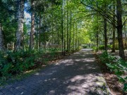 Продажа участка Горки-8 32 сотки Рублево-Успенское шоссе - 638297