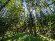 Продажа участка Горки-8 32 сотки Рублево-Успенское шоссе - 638304