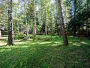 Продажа участка Горки-8 32 сотки Рублево-Успенское шоссе - 638325